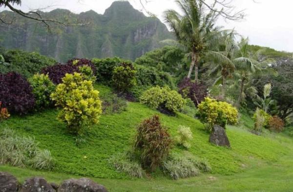 Isla y lugares donde se rodó Lost - Isla en la que se rodó Lost