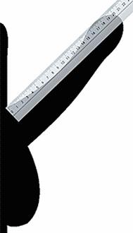 Cómo medir el pene - Paso 3