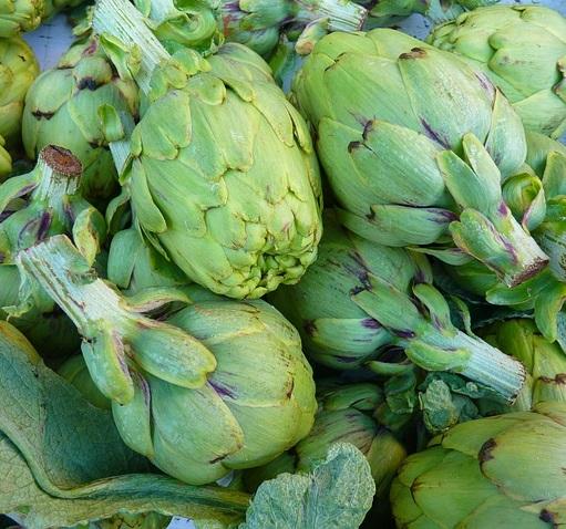 Cuándo es temporada de alcachofas