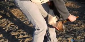 Cómo engrasar los cascos del caballo