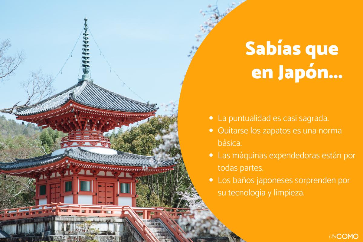 Curiosidades de Japón que debes conocer antes de viajar