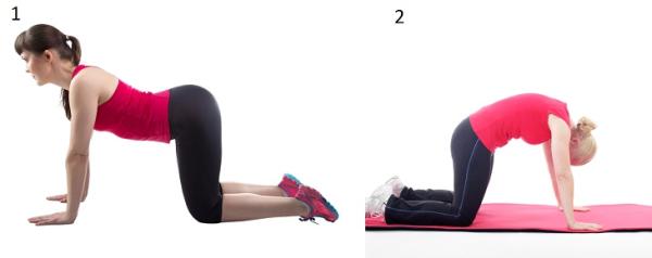 Ejercicios hipopresivos para el suelo pélvico - Ejercicios de gimnasia hipopresiva - Cuadrupedia o postura de Maya