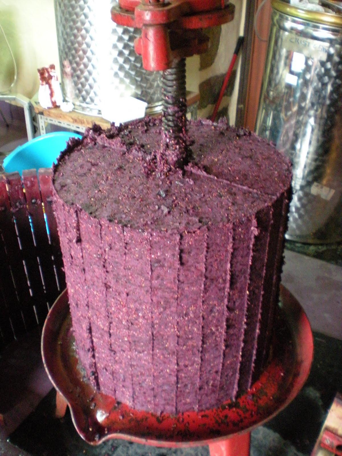 Cómo se hace el vino: el prensado