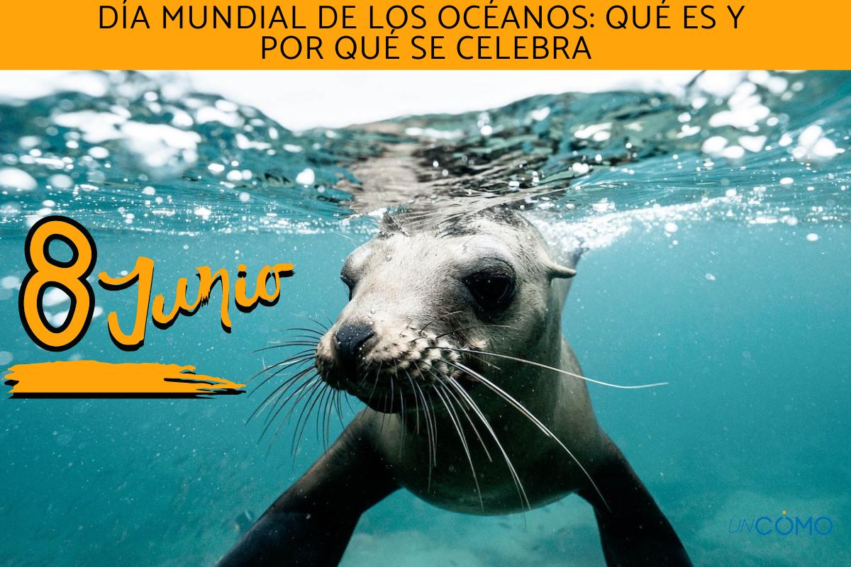 Día Mundial de los Océanos: qué es y por qué se celebra