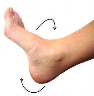 Ejercicios para fortalecer los tobillos - Paso 6