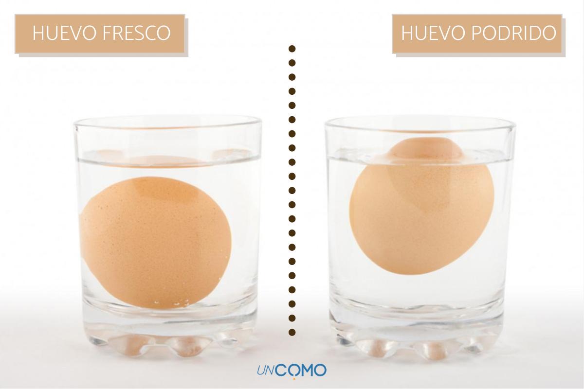Cómo saber si un huevo es fresco