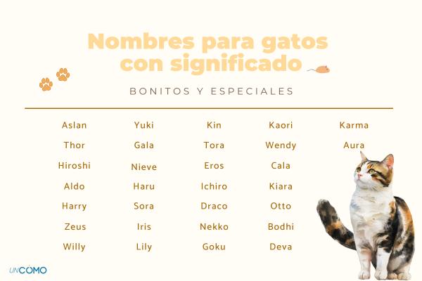Los nombres para gatos con significado más bonitos y especiales