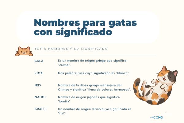 Los nombres para gatos con significado más bonitos y especiales - Nombres para gatas hembra con significado