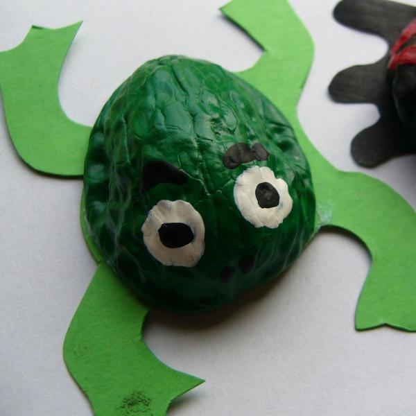 Cómo hacer una rana con una nuez - Paso 5