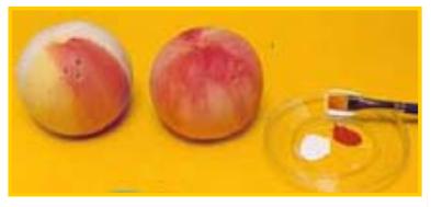 Cómo hacer un saleros y pimenteros originales - Paso 4