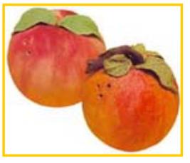 Cómo hacer un saleros y pimenteros originales - Paso 5