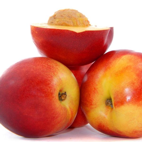 Cómo conservar melocotones al natural