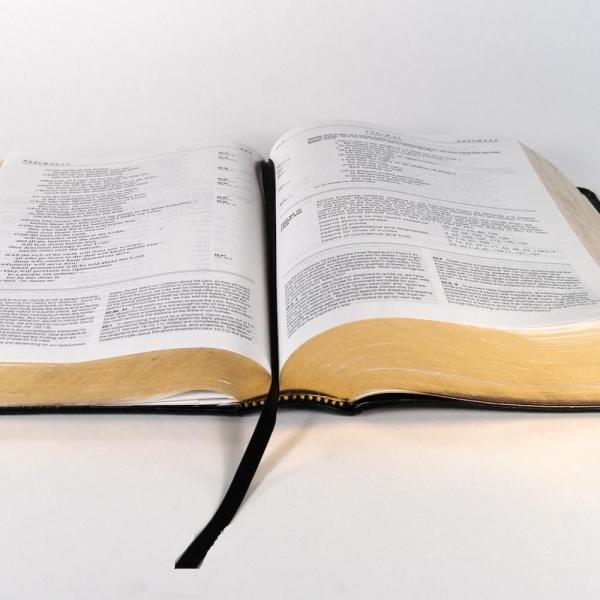 Cómo escribir una novela gratis