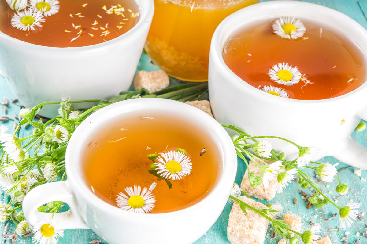 ¿Tomar manzanilla todos los días es malo? ¿Cuánta se puede tomar?