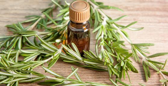 Cómo usar el aceite de romero para el cabello