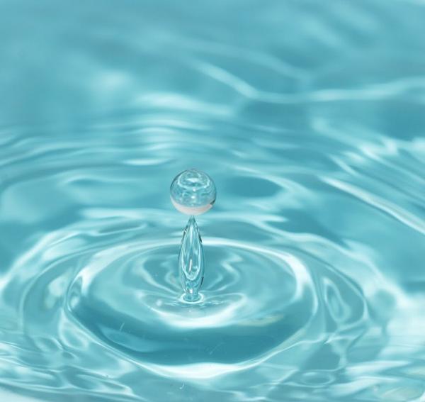 Cómo se dice el agua o la agua