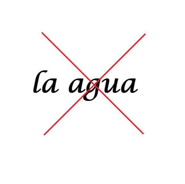Cómo se dice el agua o la agua - la agua*