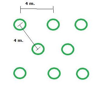 Cómo hacer la siembra cercana en el huerto
