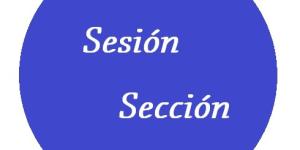 Cuál es la diferencia entre sesión y sección