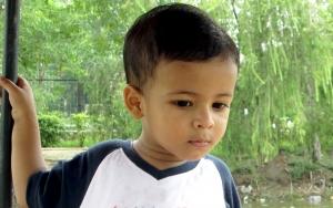 Cómo explicar a un niño la muerte