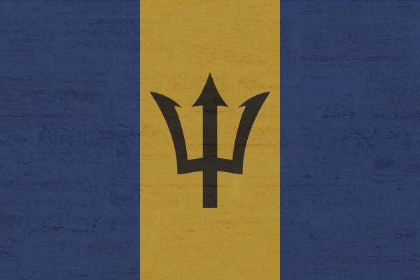 Banderas con azul y amarillo: países y significado - Cómo distinguirlas fácilmente