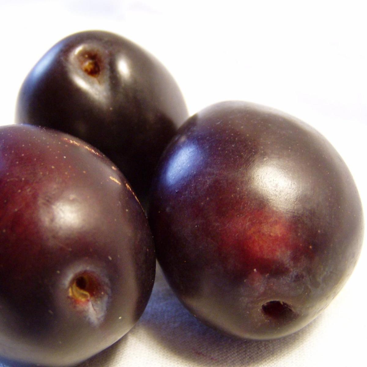 Como hacer en conserva las ciruelas