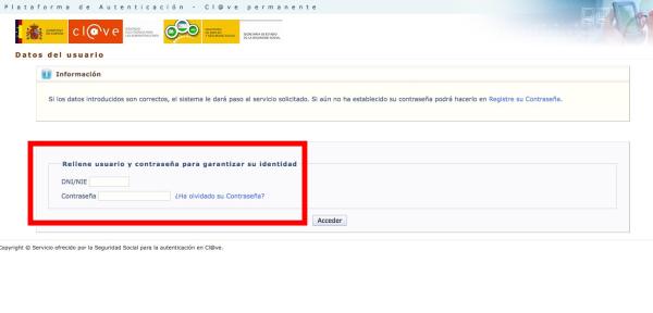 Cómo saber mis puntos del carné con el sistema Clave - Paso 4