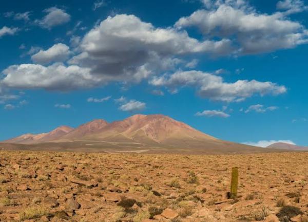 Tipos de desiertos y sus características principales - Desiertos áridos