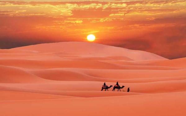 Tipos de desiertos y sus características principales - Desiertos cálidos