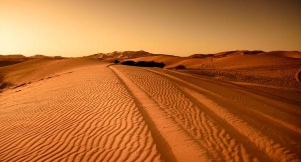 Tipos de desiertos y sus características principales - Desiertos de arena
