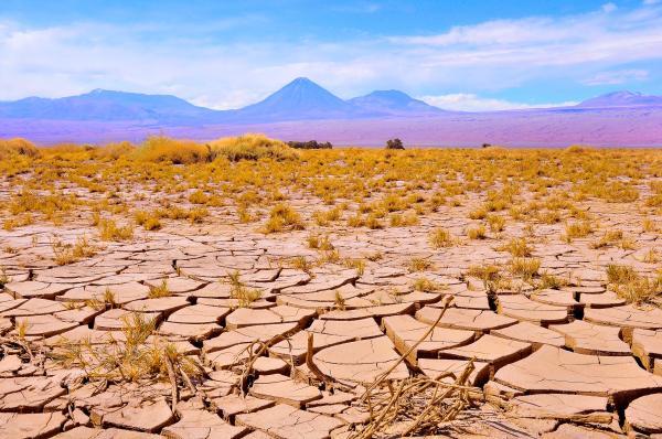 Tipos de desiertos y sus características principales - Desiertos hiperáridos
