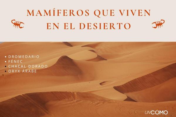 Tipos de desiertos y sus características principales - Desiertos polares