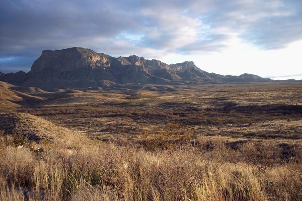 Tipos de desiertos y sus características principales - Desiertos semiáridos