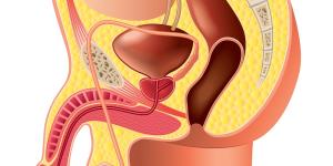 Por qué me duelen los testículos