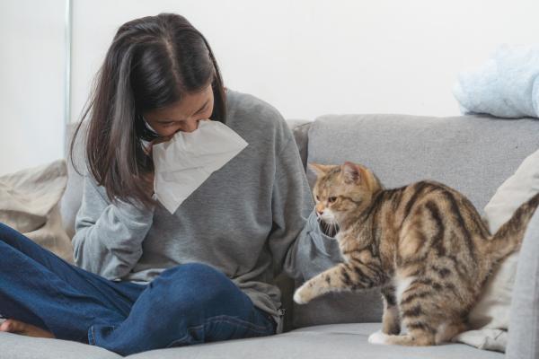 Alergia a los gatos: causas, síntomas y tratamiento