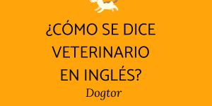 Chistes de cómo se dice