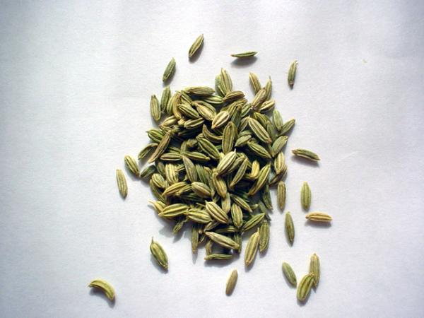 Cómo usar el hinojo para el mal aliento - Paso 1