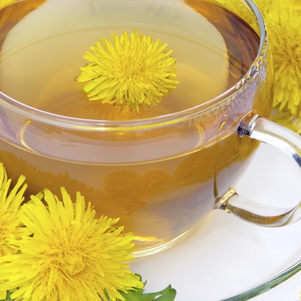 Las mejores infusiones para bajar el colesterol - Infusiones para bajar el colesterol: diente de león