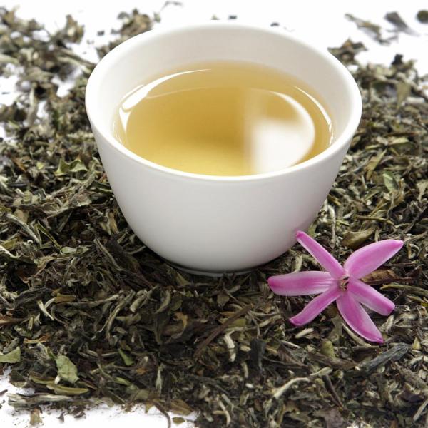 Las mejores infusiones para bajar el colesterol - Infusiones para bajar el colesterol: té blanco