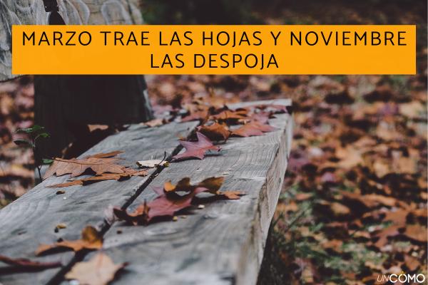 Refranes de noviembre: lista de los más populares