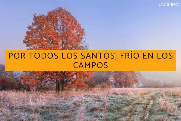 Refranes de noviembre: lista de los más populares - Refranes de noviembre y el santoral