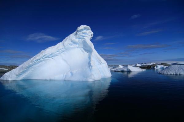 Diferencia entre mar y océano - El tamaño de la superficie de los océanos y los mares