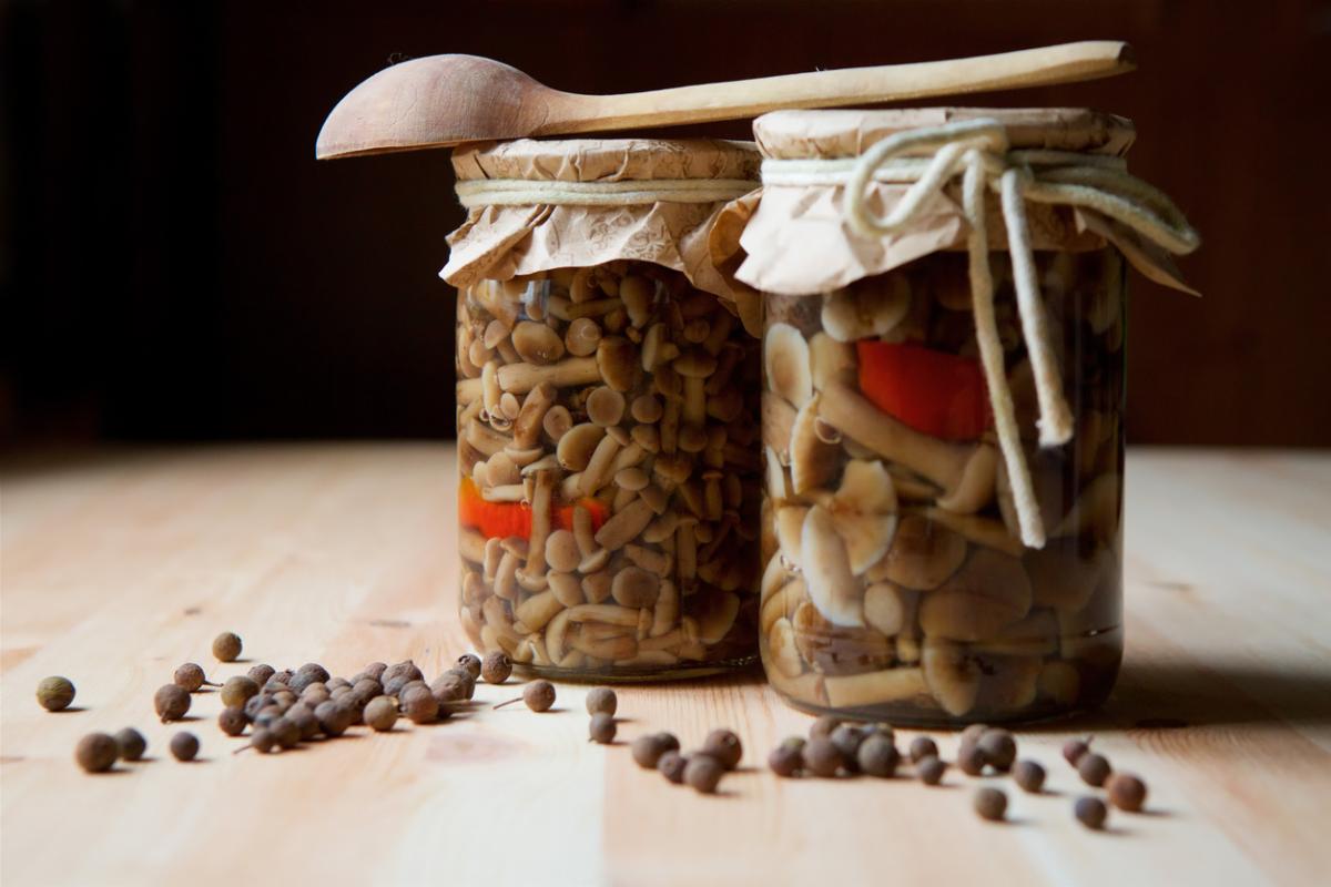 Cómo conservar setas