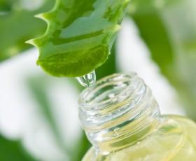 Cómo aliviar los labios cortados - Cómo aliviar tus labios cortados: Aloe Vera