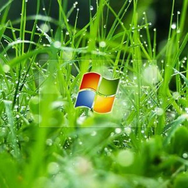 fondo de pantalla del logotipo de windows 7