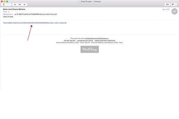 Cómo adjuntar archivos en Mailchimp - Paso 8
