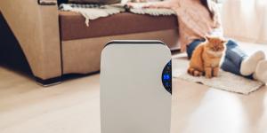 ¿El deshumidificador es malo para la salud? Descubre para qué sirve y cuándo es necesario usarlo