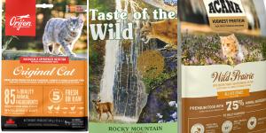 Los 5 mejores piensos para gatos según la OCU: guía completa recomendada por expertos