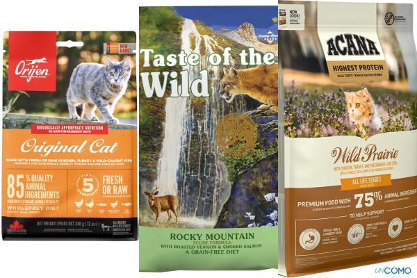 Los 5 mejores piensos para gatos según la OCU: guía completa recomendada por expertos