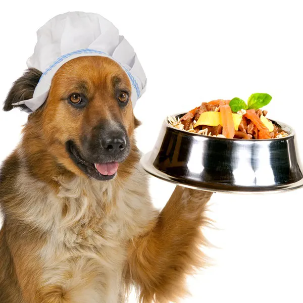 puedo alimentar a mi perro con brócoli y coliflor